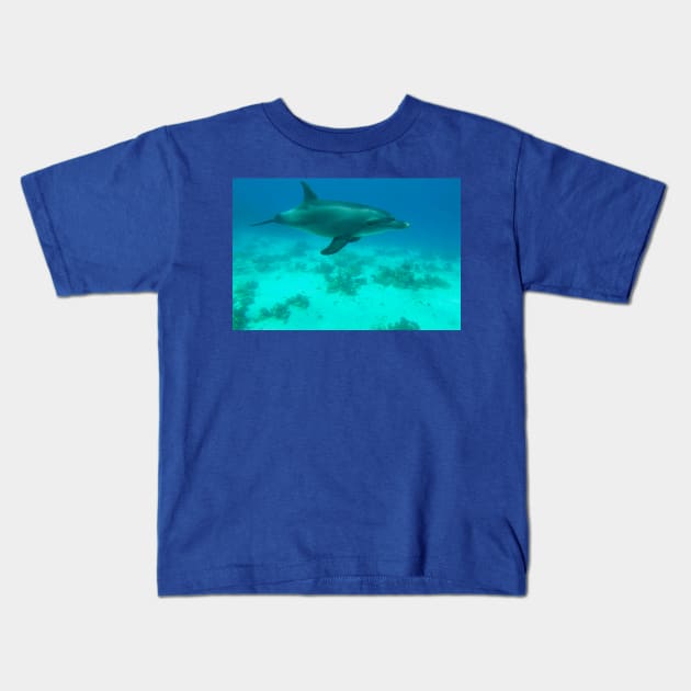 Dolphin Underwater Kids T-Shirt by Kate-P-